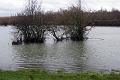 4. Flood